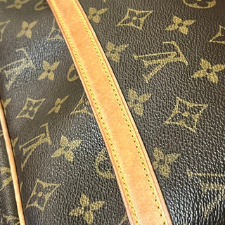 LOUIS VUITTON Reporter PM Monogram Canvas Crossbody Bag