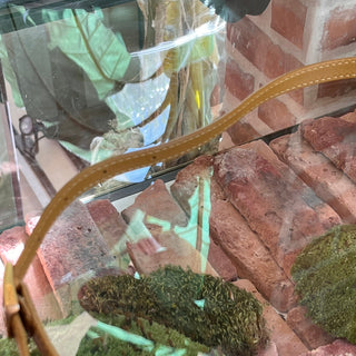FENDI Chameleon Yellow Woven Raffia Tote