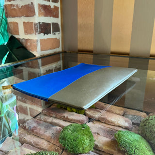 CELINE Solo Lambskin Clutch