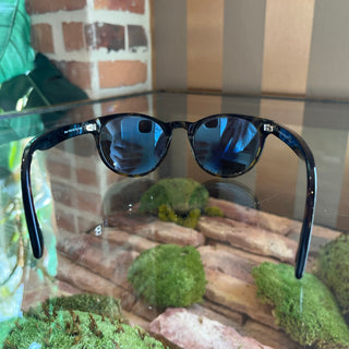 TOM FORD Palmer Sunglasses