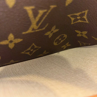 LOUSI VUITTON Reporter PM Monogram Canvas Crossbody Bag