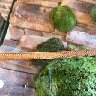 LOUIS VUITTON Brown Vachetta Strap
