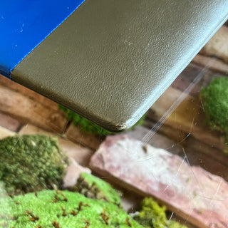 CELINE Solo Lambskin Clutch