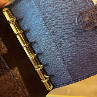 LOUIS VUITTON Taiga Brown Leather Small Agenda Cover